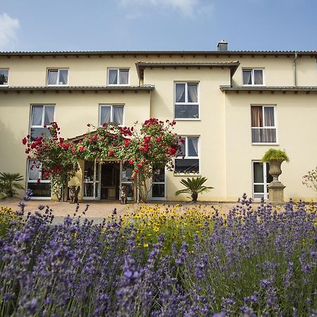 Mediterran Hotel Juwel Karlstein am Main Esterno foto